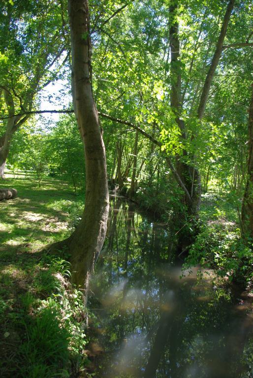 הוילה Fontenille-Saint-Martin-d'Entraigues Moulin De Coupigny חדר תמונה